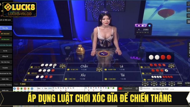 Luật Chơi Xóc Đĩa - Quy Tắc Dễ Hiểu Cho Người Mới Tại Luck8 4 Chiến thuật chinh phục chiến thắng đỉnh cao