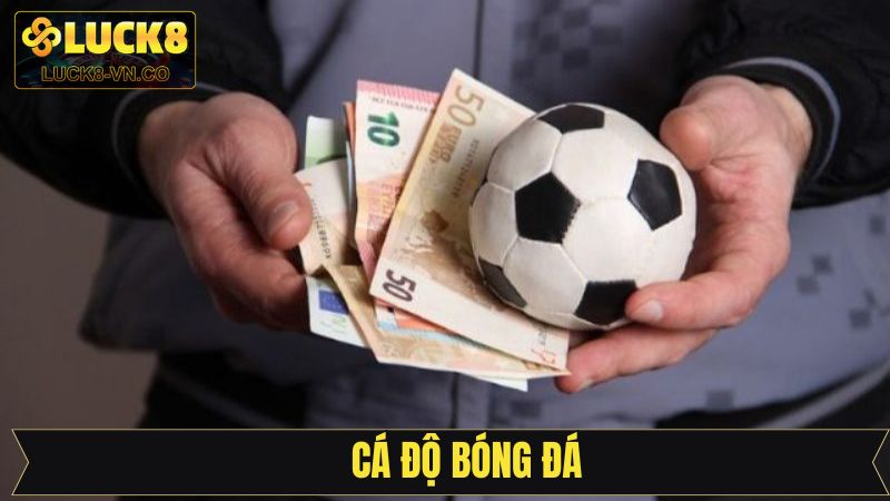 Cá Độ Bóng Đá Cùng LUCK8 - Kịch Tính Trong Từng Trận Đấu 1 Cá Độ Bóng Đá Cùng LUCK8 - Kịch Tính Trong Từng Trận Đấu