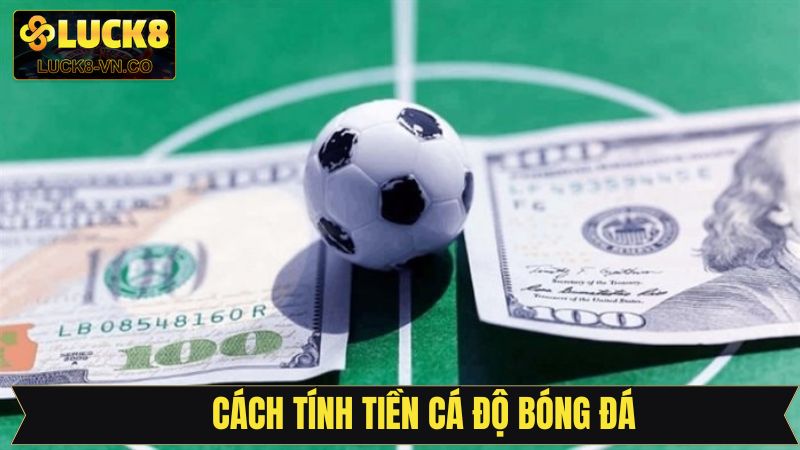 Cách Tính Tiền Trong Cá Độ Bóng Đá Chi Tiết, Dễ Hiểu Nhất