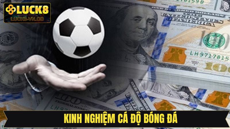 Cá Độ Bóng Đá Cùng LUCK8 - Kịch Tính Trong Từng Trận Đấu 4 Kinh nghiệm bí kíp chiến thắng bộ môn cá độ