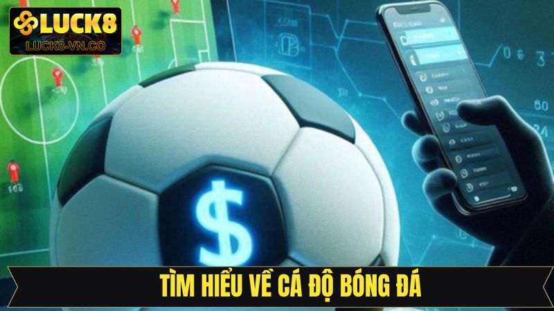 Cá Độ Bóng Đá Cùng LUCK8 - Kịch Tính Trong Từng Trận Đấu 2 Tìm hiểu đôi nét về bộ môn cá cược bóng đá tại LUCK8