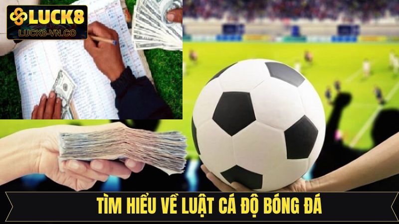 Luật Cá Độ Bóng Đá - Quy Định Đặt Kèo Cần Nắm Tại Luck8 2 Quy định cơ bản về cá cược bóng đá tại Luck8