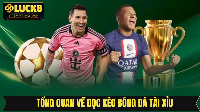Tổng quan về cách đọc kèo bóng đá tài xỉu