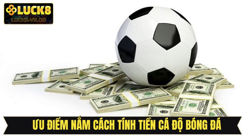 Tầm quan trọng của nắm rõ cách tính tiền cá độ bóng đá
