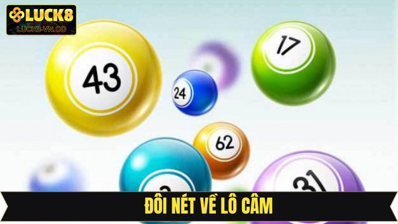 Lô Câm - Bí Kíp Soi Cầu Cực Chuẩn, Cơ Hội Trúng Lớn Tại Luck8 2 Giải thích khái niệm lô câm