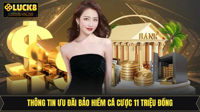 Thông tin ưu đãi bảo hiểm cá cược 11 triệu đồng
